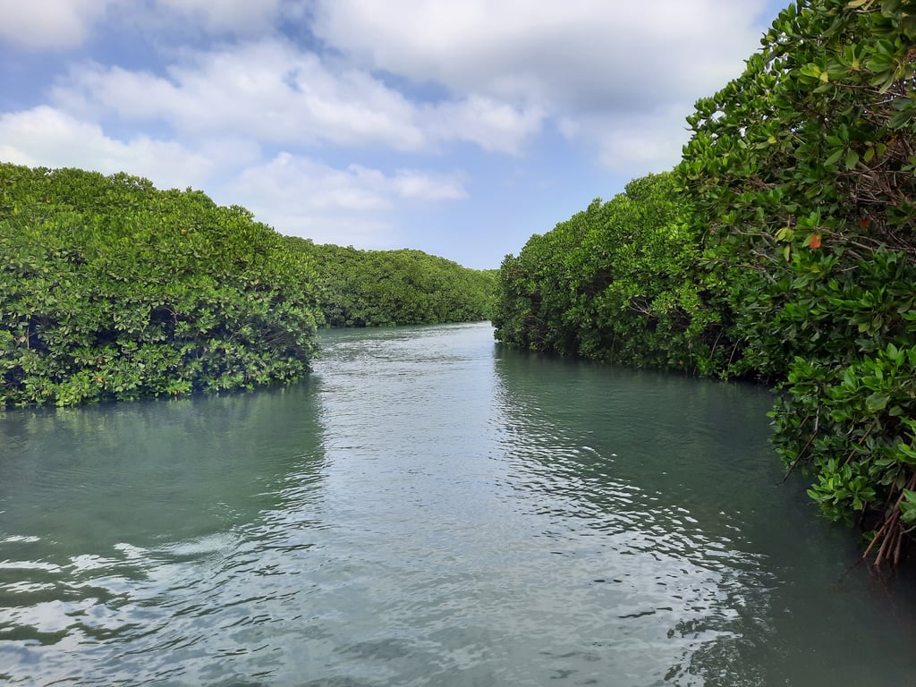 Farsan Island: Saudi Arabia’s Most Significant Island