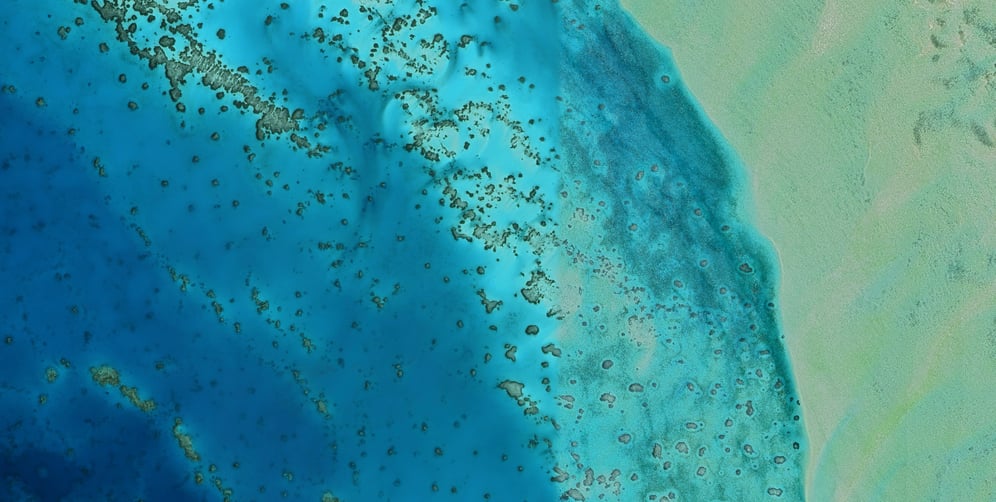 Red Sea Global redefining the future of tourism in Saudi Arabia, Red Sea coral reefs