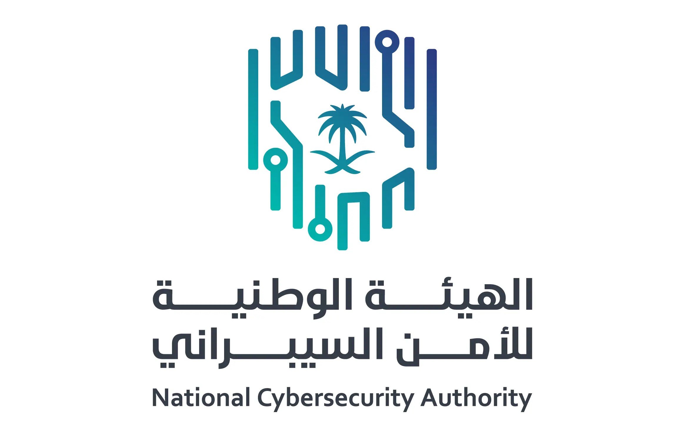 المبادرات الحكومية السعودية لتعزيز الأمن السيبراني