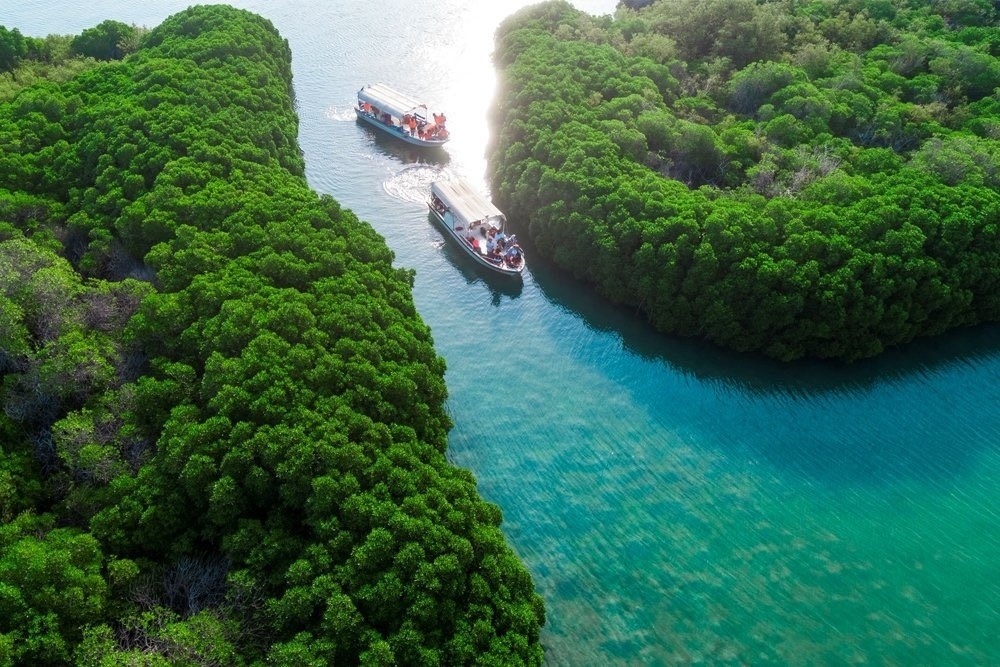 جزيرة فرسان لؤلؤة مخفية في البحر الأحمر