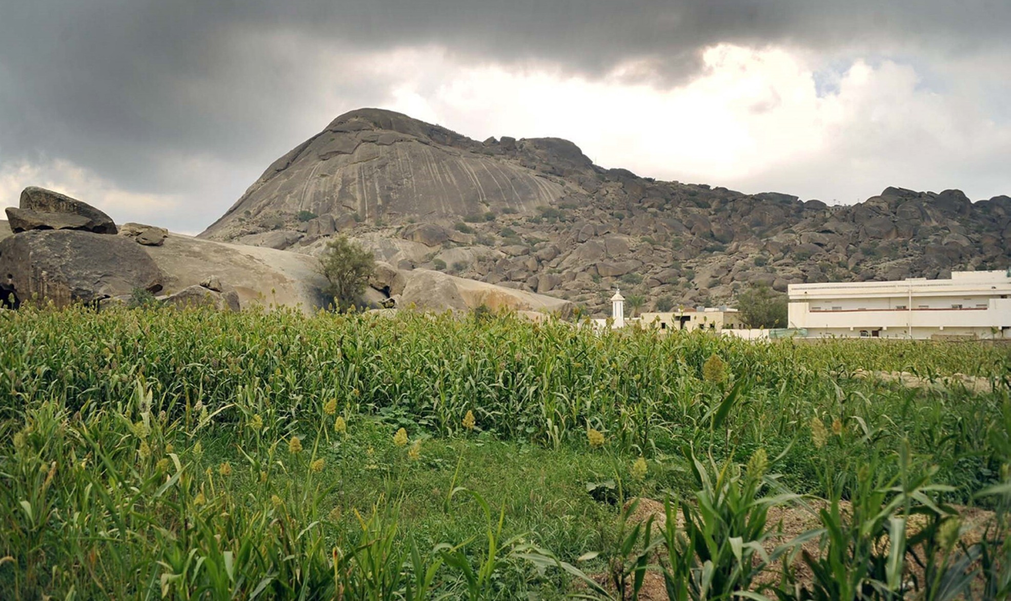 محمية جبل شدا الأعلى