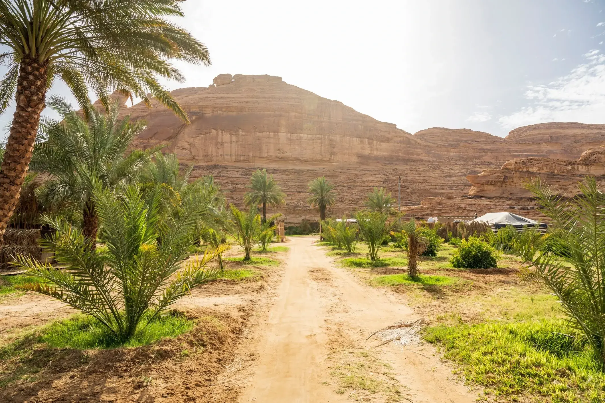 البيئة السياحية على قمم جبال المملكة العربية السعودية