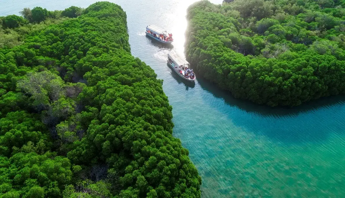 جزيرة فرسان .. أهم الجزر السعودية في البحر الأحمر