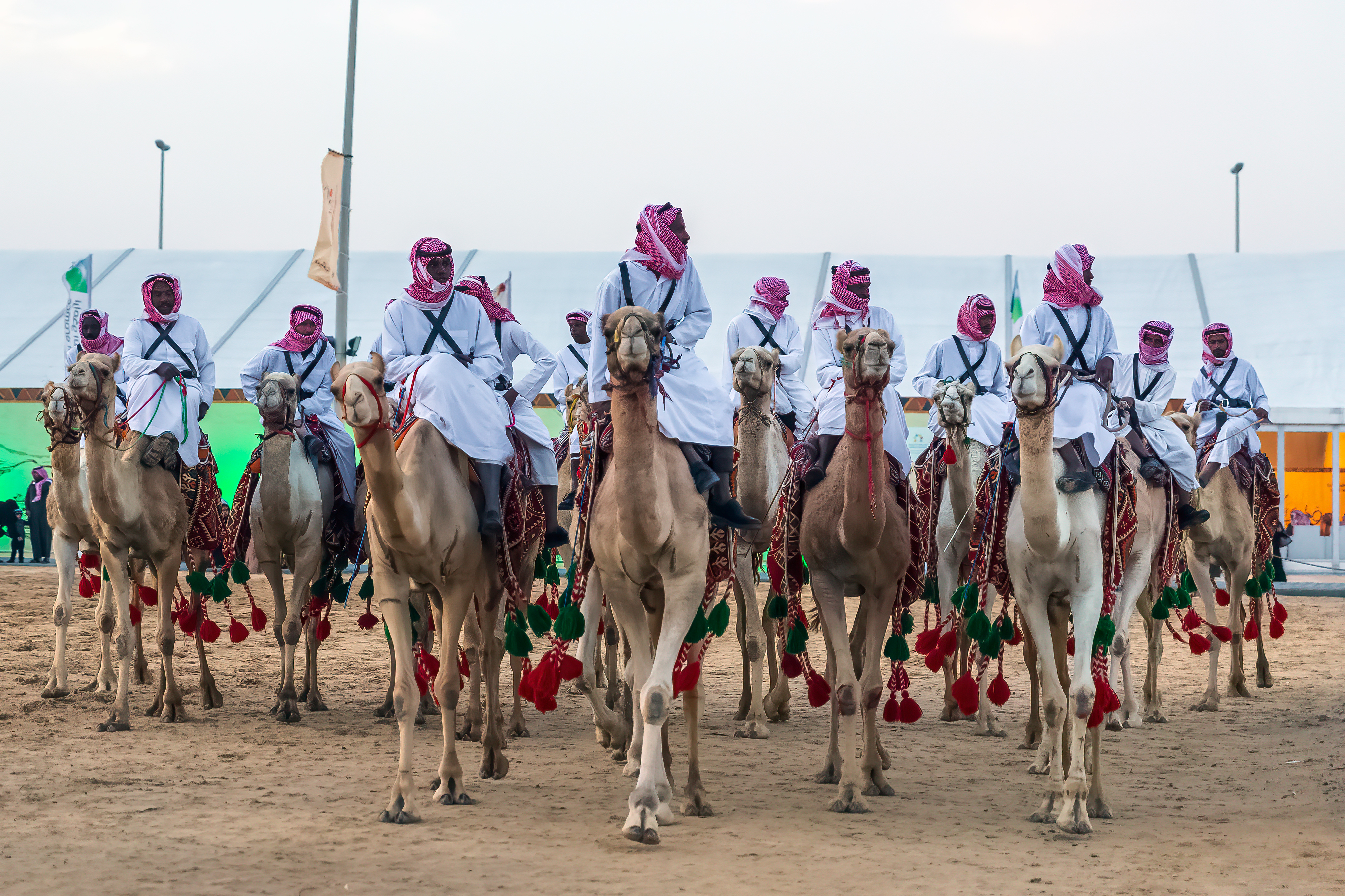 مهرجان الدوخلة الوطني