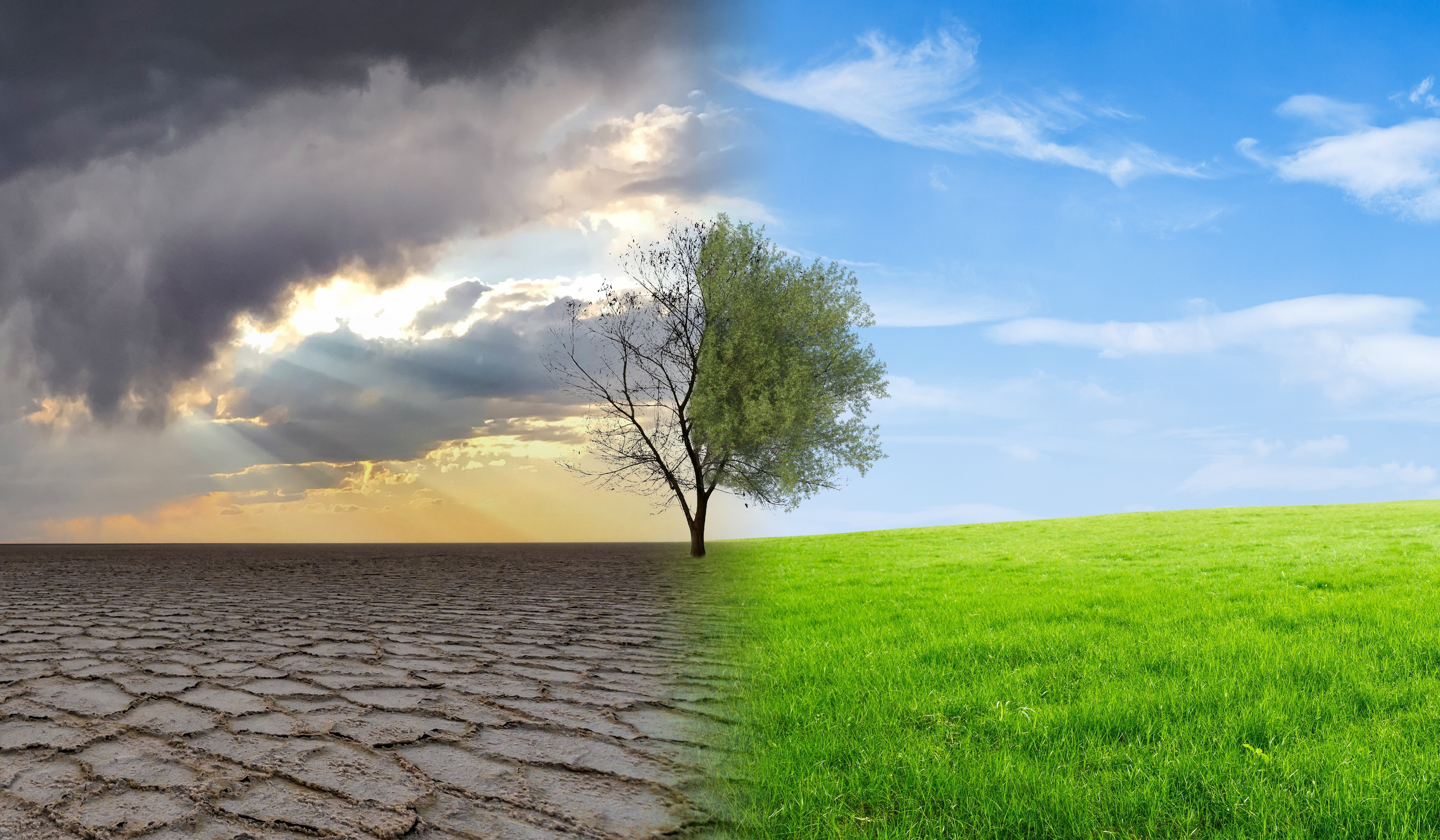 Saudi Arabia's Role in Combating Climate Change